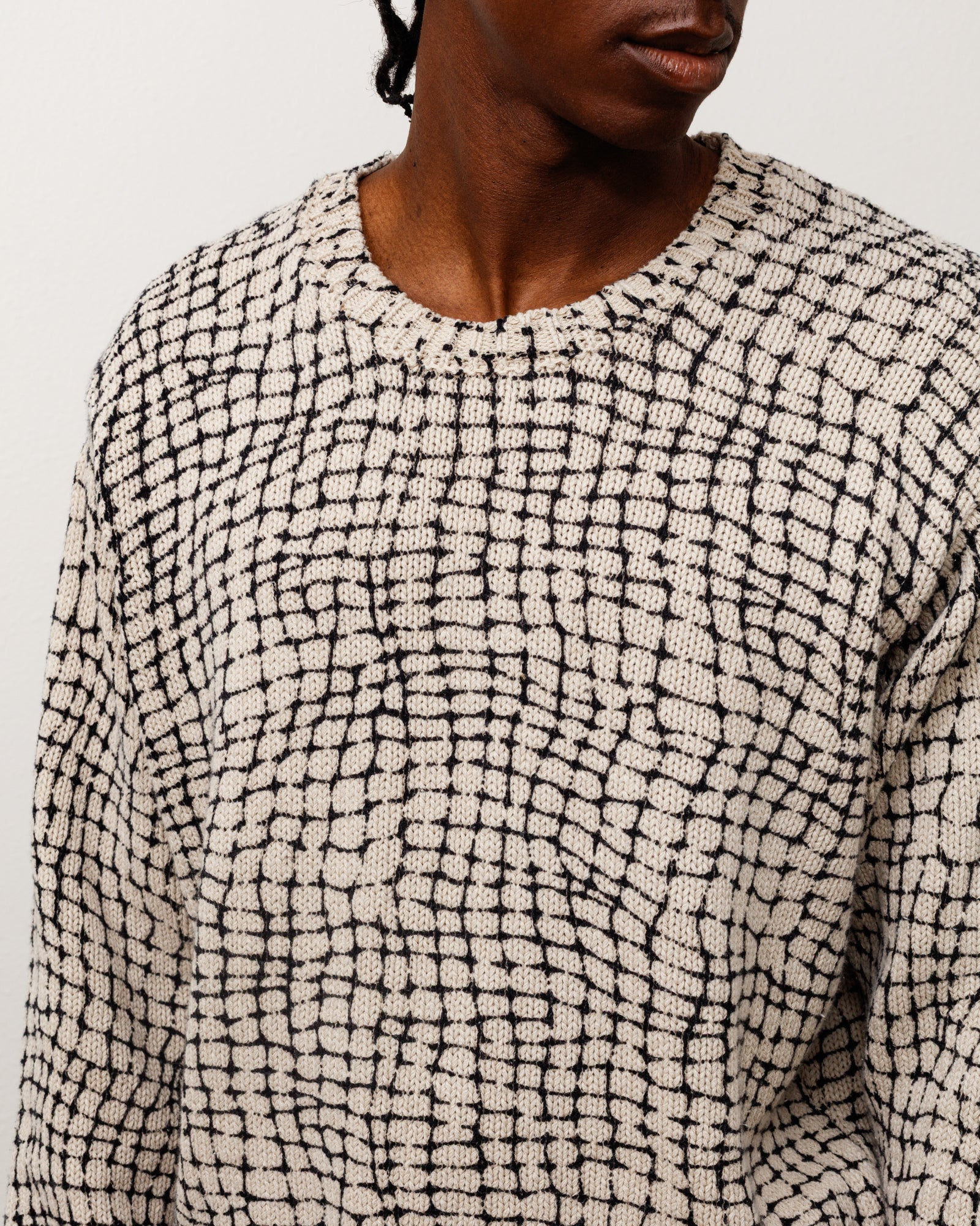 MESH PRINT SWEATER